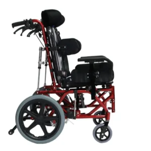 Poylin P958Y Yetişkin Spastik Sandalyesi